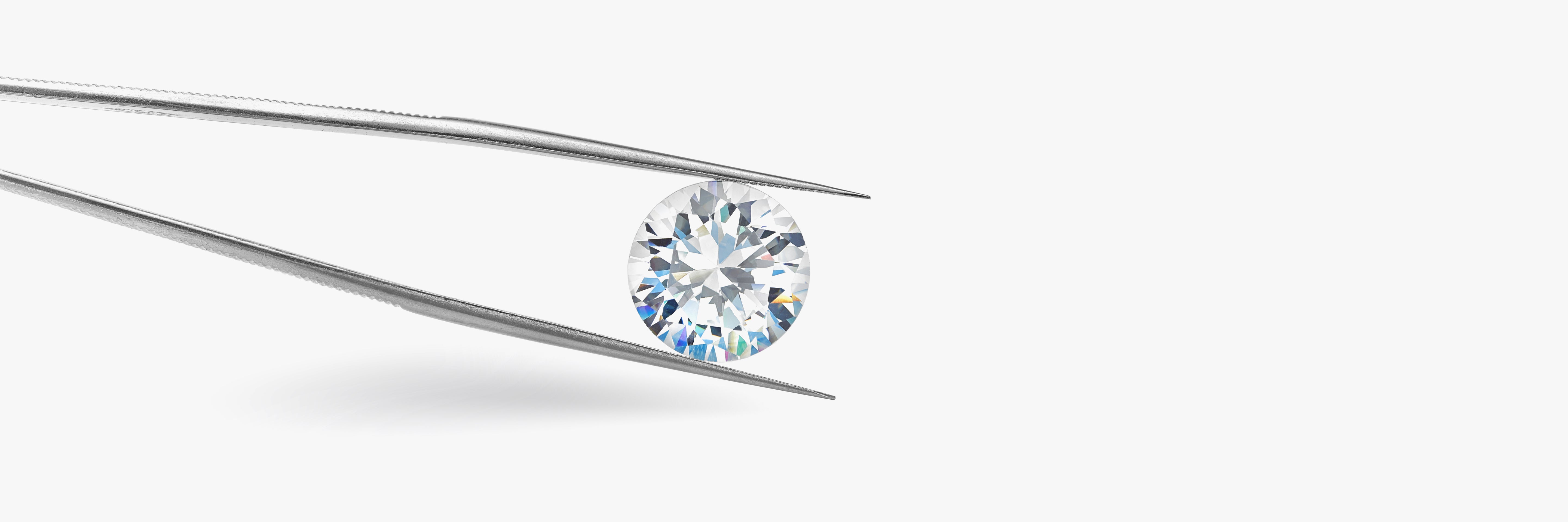 Modern, Sustainable, Lab Grown