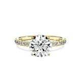 Alluring Hidden Halo Engagement Ring