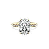 Martini Hidden Halo Engagement Ring - The Better Diamonds