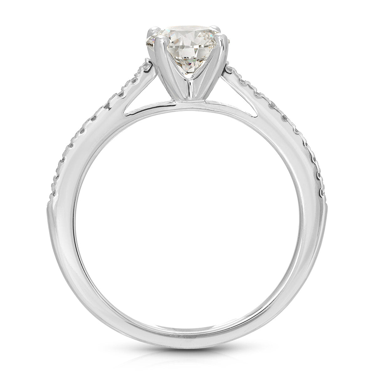 Roma solitaire Round Engagement Ring in White Gold