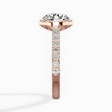 Amor Halo Engagement Ring
