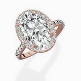 Secret Diamond Halo Engagement Ring