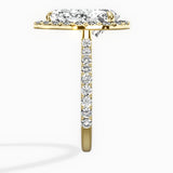 Secret Diamond Halo Engagement Ring
