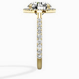 Secret Diamond Halo Engagement Ring