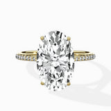 Roma solitaire Engagement Ring