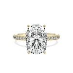 Alluring Hidden Halo Engagement Ring - The Better Diamonds