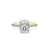 Alluring Hidden Halo Engagement Ring - The Better Diamonds