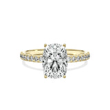 Alluring Hidden Halo Engagement Ring - The Better Diamonds