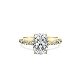 Alluring Hidden Halo Engagement Ring - The Better Diamonds