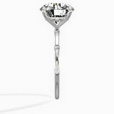 Eleni Solitaire Engagement Ring - The Better Diamonds