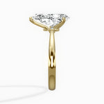 European Solitaire Engagement Ring - The Better Diamonds