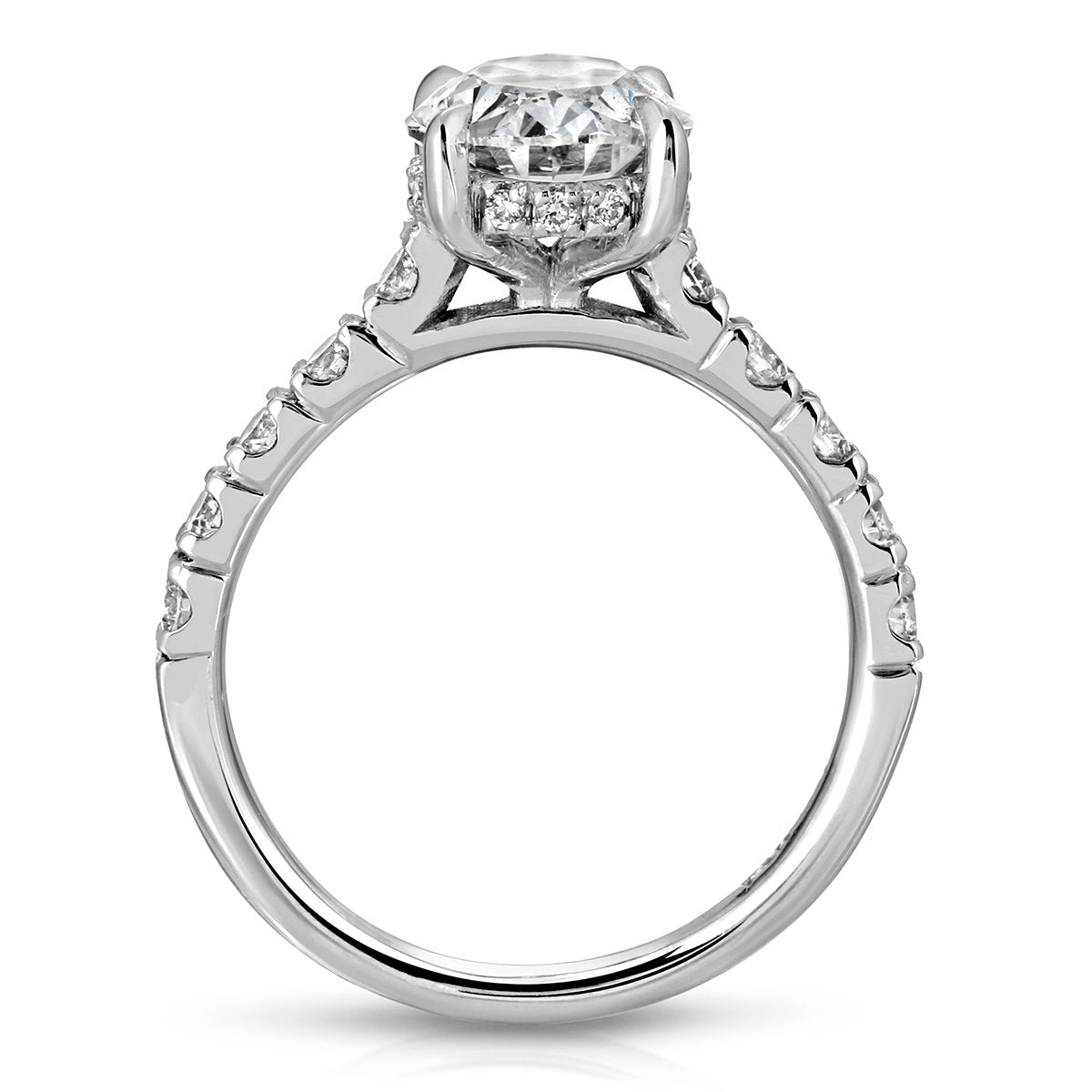 Timeless Hidden Halo Oval Engagement Ring in White Gold