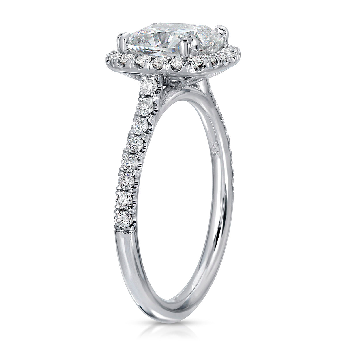 Amor Halo Cushion Engagement Ring in White Gold