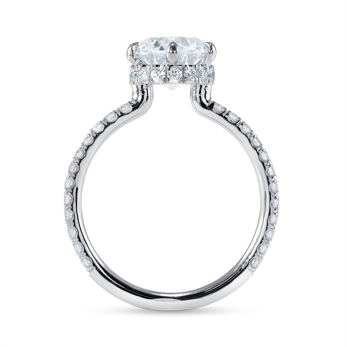 Rose Hidden Halo Round Engagement Ring in White Gold