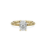 Paris Solitaire Engagement Ring - The Better Diamonds